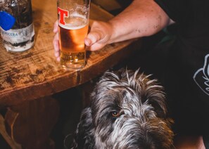 السماح باصطحاب الحيوانات الأليفة