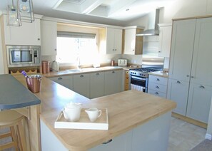 Fridge, oven, stovetop, toaster