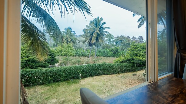 Vista de um quarto com uma janela ampla que se abre para um jardim bem cuidado, com várias árvores e arbustos.