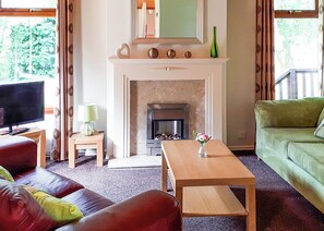 Un salon avec une cheminée, un téléviseur, un canapé, une table basse et un divan vert.