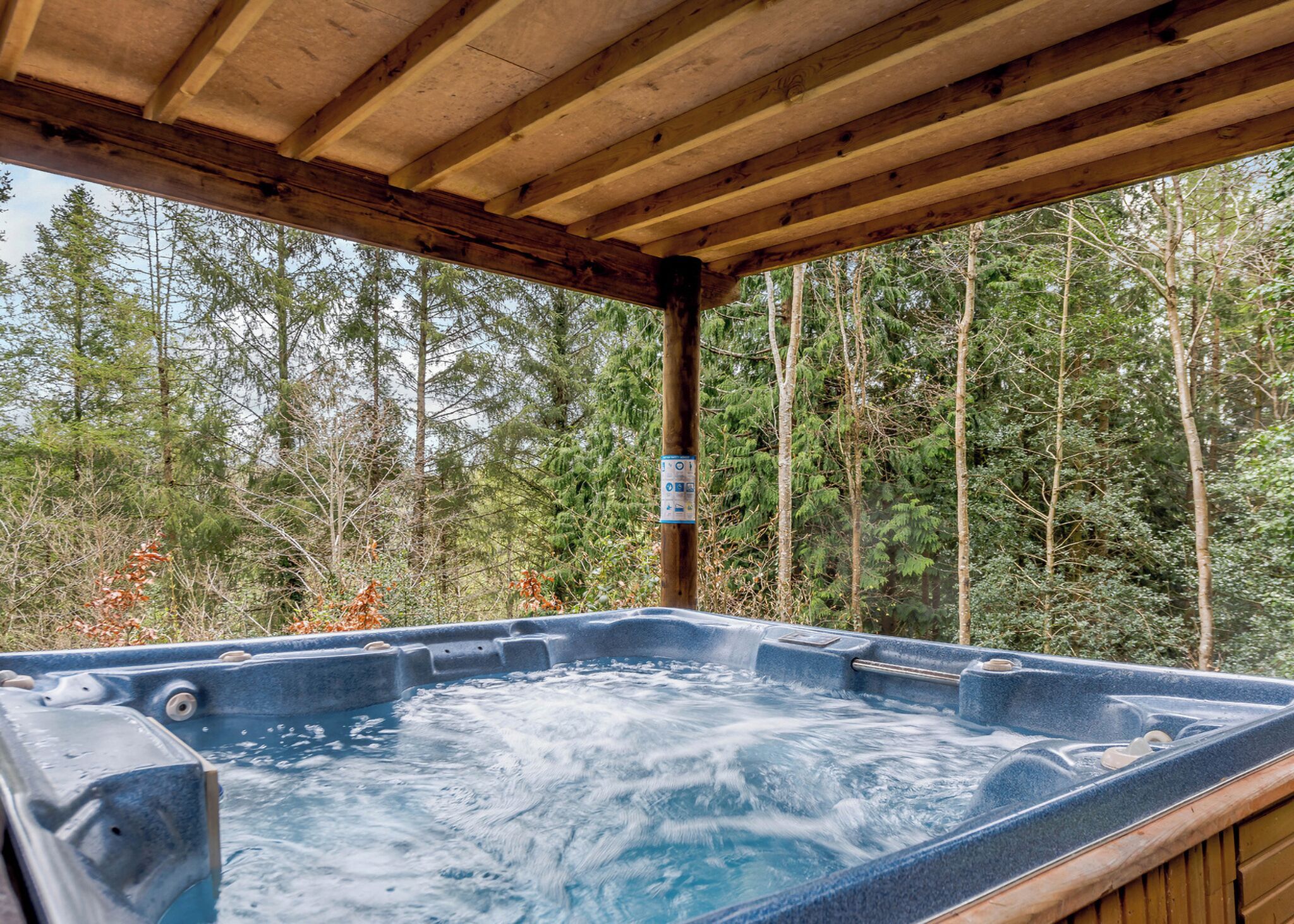 Baignoire à remous extérieure