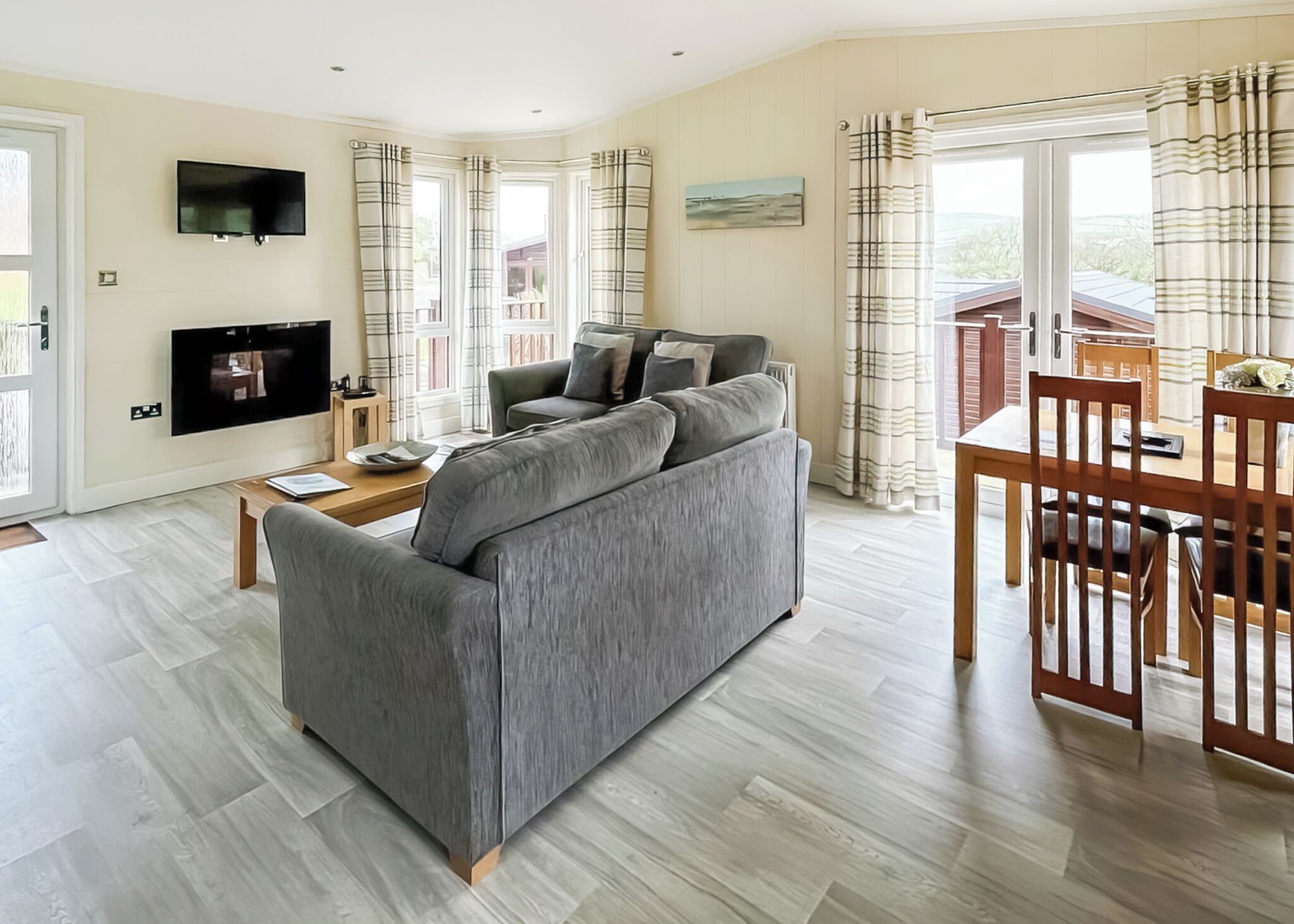 تلفزيون