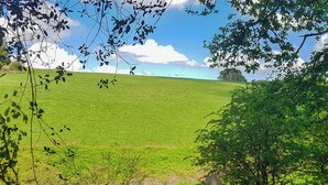 A view from a balcony overlooking a green field with trees in the foreground and a clear sky.