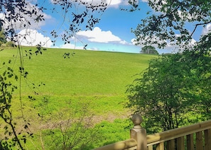A view from a balcony overlooking a green field with trees in the foreground and a clear sky.