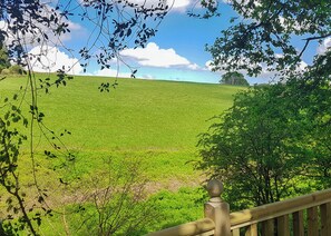 Terrain de l’hébergement 