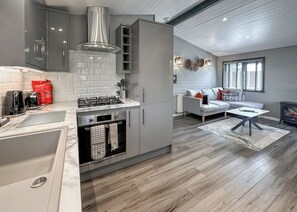 Une cuisine moderne dotée d’un four encastré et d’une cuisinière à gaz, d’un canapé gris et d’une cheminée.