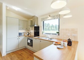 Fridge, oven, stovetop, dishwasher