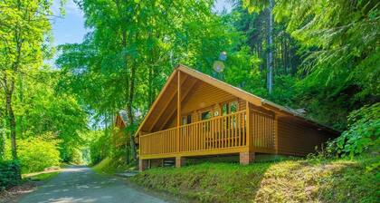 Timber lodge set in an elevated position with views of the lake.