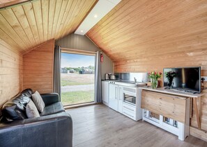 TV - 1 bedroom accommodation in Great Busby (Great Busby)