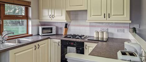 Fridge, oven, stovetop, toaster