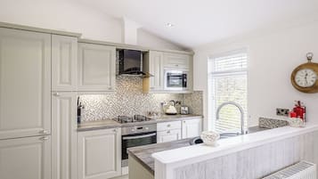 Fridge, oven, stovetop, dishwasher