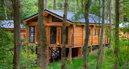 Woodland Birch Lodge