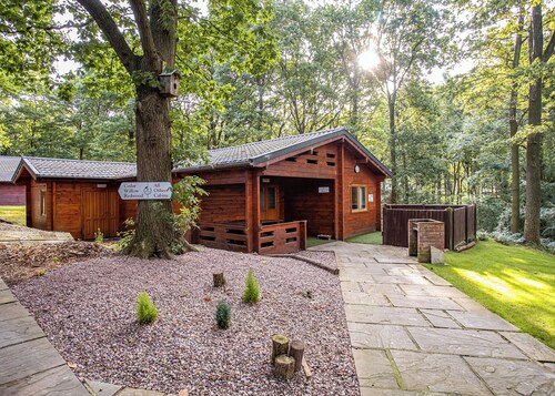 Woodland Birch Lodge
