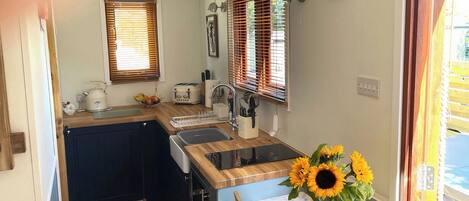 Fridge, oven, stovetop, toaster