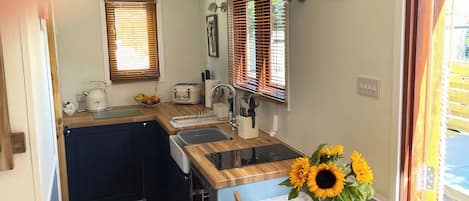 Fridge, oven, stovetop, toaster