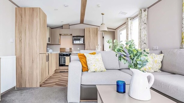 A compact living space with a kitchenette, a sofa with cushions, a coffee table, and a potted plant.