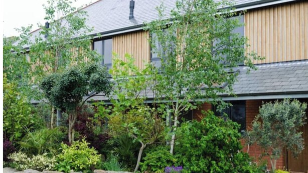 A modern building with a stone wall in the foreground, wooden vertical panels on the facade, and various green plants and shrubs around the structure.