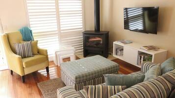 Télévision, cheminée, lecteur de DVD