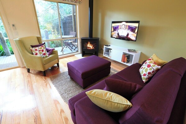 Télévision, cheminée, lecteur de DVD, chaîne hi-fi