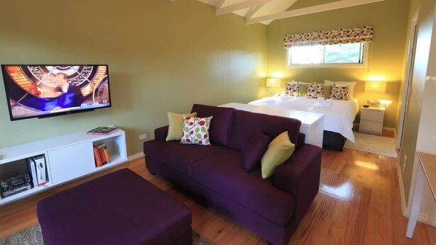 Um quarto com uma cama, um sofá, uma televisão e uma mesa de cabeceira.