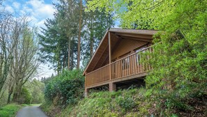 A cabin with a wooden deck and a porch, surrounded by dense forest and a paved path.