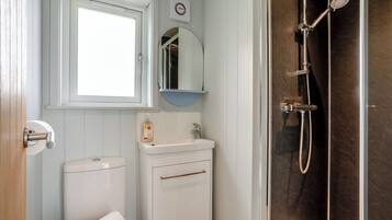 Une salle de bain équipée de toilettes, d’un lavabo, d’un miroir et d’une douche.