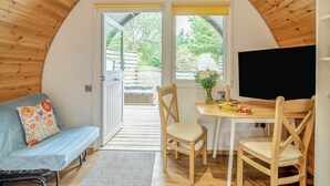 تلفزيون