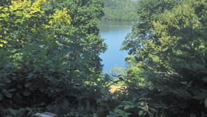 Un lac entouré d’une végétation luxuriante.
