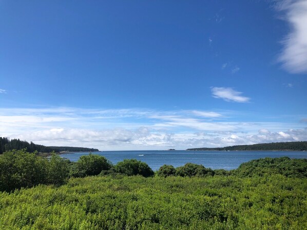 A coastal landscape with dense greenery in the foreground and a clear blue sky. - Winter Hbr Oceanside Cabin - Schoodic Point Section of Acadia NP (Winter Harbor)