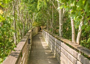 Àrea exterior de l'allotjament