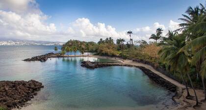 Le Voyageur - 1ch - 3/4 p - Vue Mer - Anse Mitan 900m