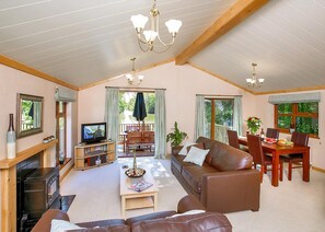 Flat-screen TV, fireplace