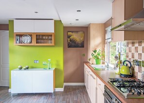 Fridge, oven, stovetop, toaster