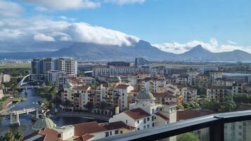 A cityscape with a river, buildings, and a mountain in the background.