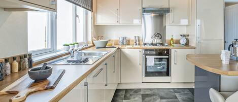 Fridge, oven, stovetop, dishwasher