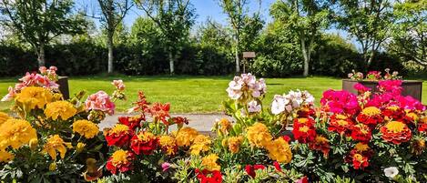 Jardines del alojamiento