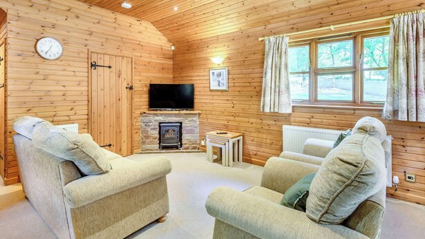 Un intérieur de chalet chaleureux avec des murs en bois, une cheminée, un téléviseur et deux canapés.