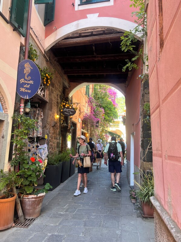 A narrow street with a stone archway, potted plants, and hanging signs.