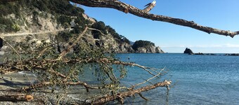THE FIVE SAILS*****Cinque Terre Luxury House