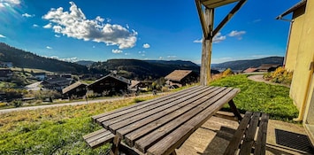 Vue de la terrasse. Le lac au fond.
