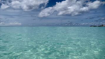 淋浴设施、毛巾、卫生纸