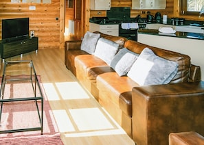 L’intérieur chaleureux d’un chalet avec un canapé en cuir, un téléviseur et un coin cuisine.