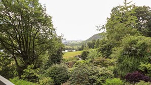 A lush garden with a variety of plants and trees, a gravel path, and a view of a distant landscape.