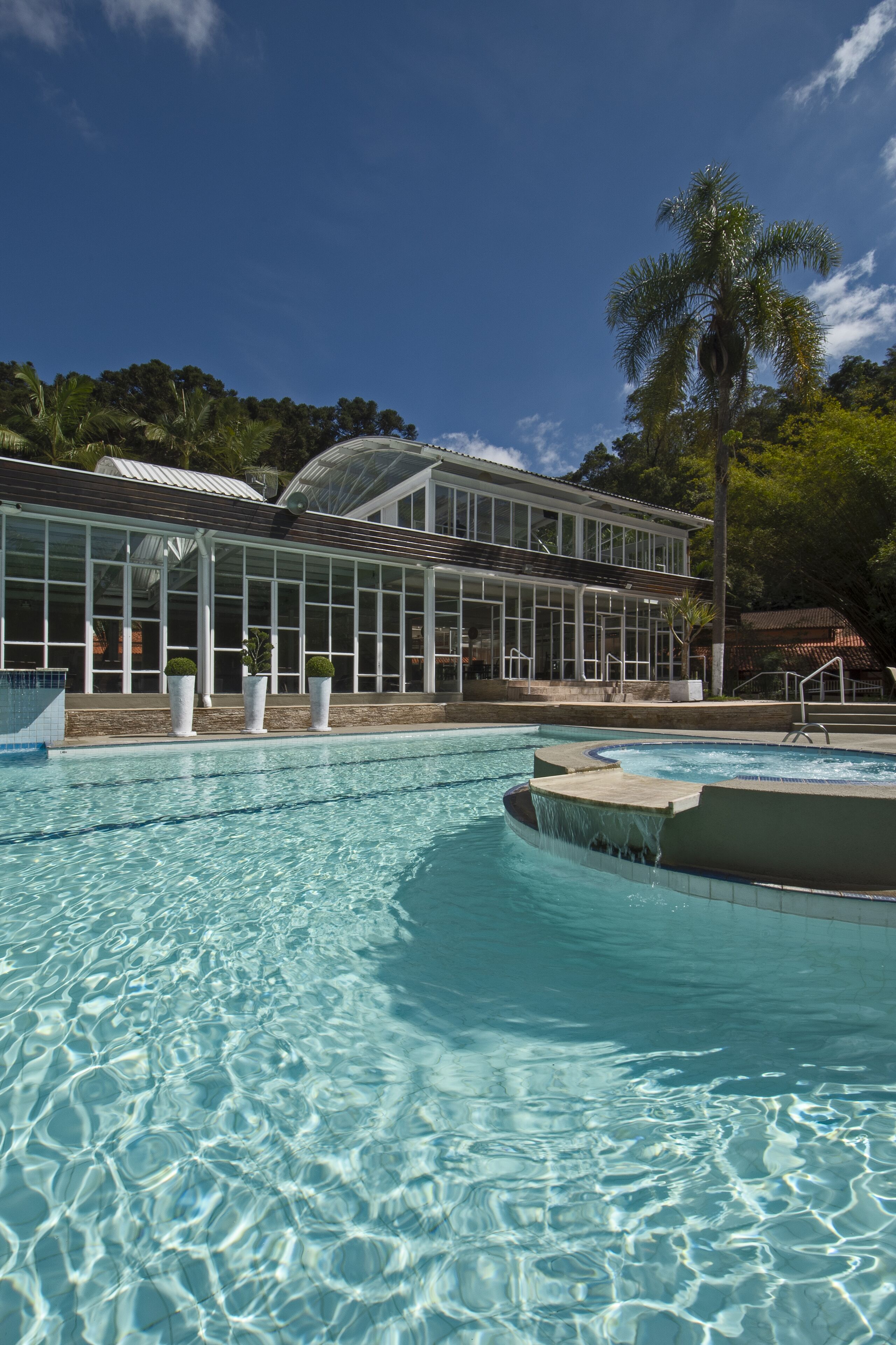 A swimming pool with clear water, a covered area with large windows, and a palm tree in the background.