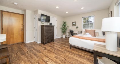 Newly designed studio apartment