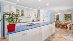 Une cuisine avec des meubles blancs, un plan de travail bleu, une plante rouge et un coin repas avec des chaises en bois.