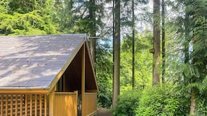 Eine Holzhütte mit geneigtem Dach, umgeben von dichtem Wald.