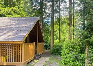 Une cabane en bois, dotée d’un toit en pente, entourée d’une forêt dense.
