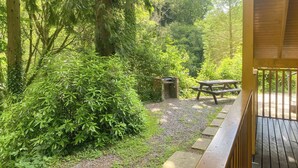 Ein bewaldetes Gebiet mit Picknicktisch und Grill.