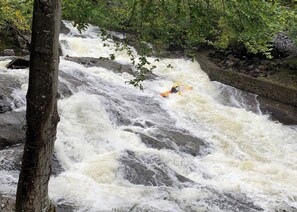 A kayaker navigating a fast-flowing river with rocky terrain and dense foliage.